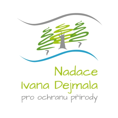 website template image